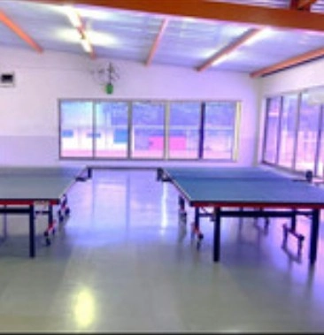 Lavale Hill-Top Table Tennis Room