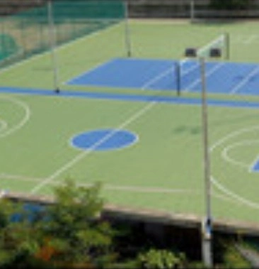 Lavale Hill-Base Basketball and Volleyball Court