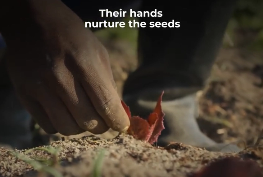 The quiet resilience of those who sow, nurture, and harvest reflects a story of care and perseverance. ? Every grain, every meal, carries the touch of their dedication..